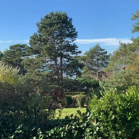Le Logis Des Roches Noires, Vue Mer, Parking Privatif 公寓 滨海图维列